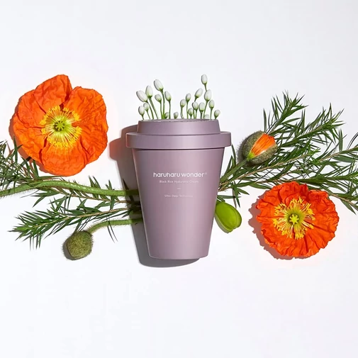 HaruHaru Wonder Black Rice Hyaluronic Cream hidratáló krém hialuronsavval – nagy kiszerelés